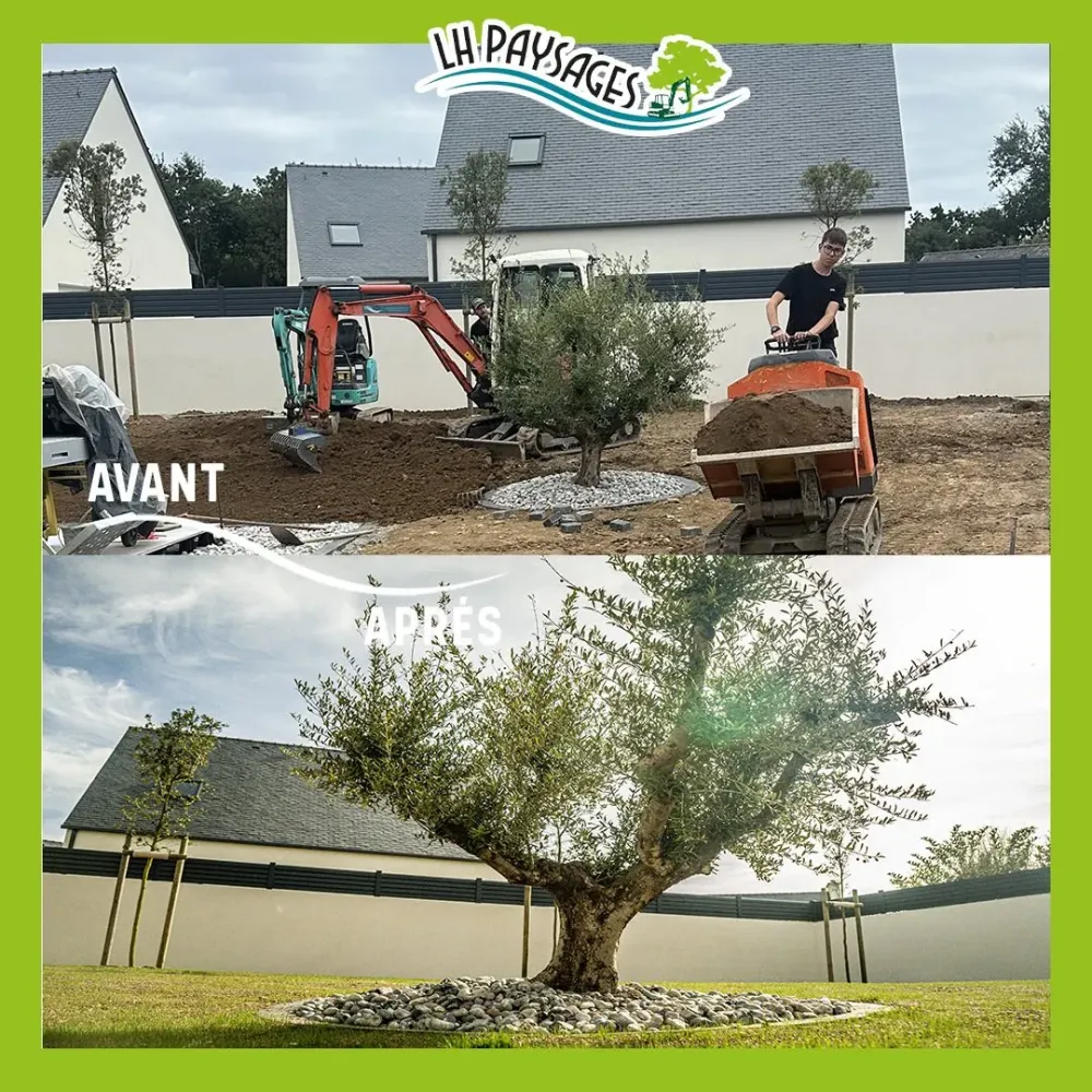 avant apres travaux paysagistes (5)