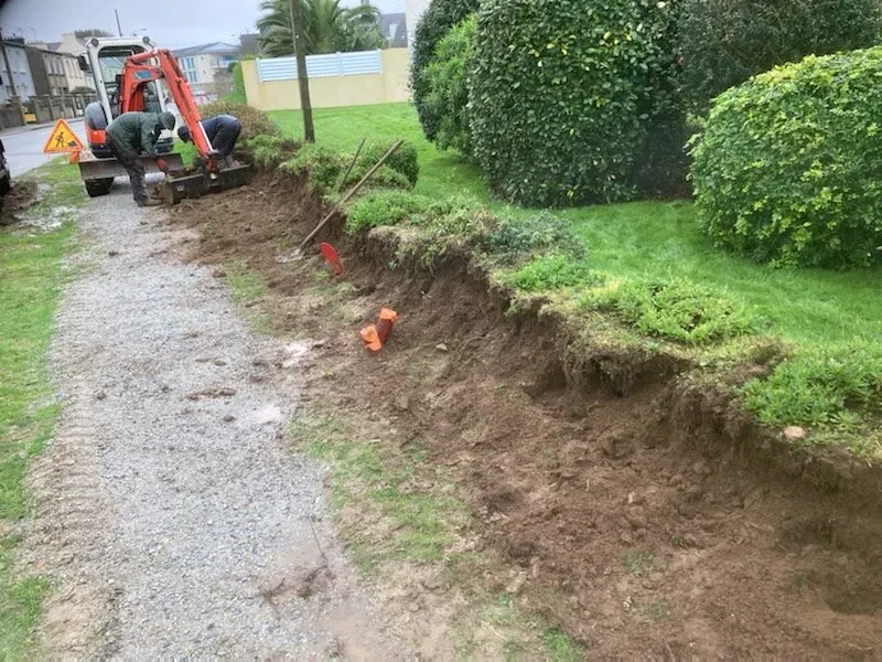 creation de haie (1)