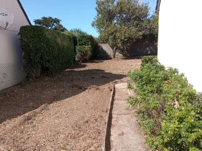 entretien jardin (1)