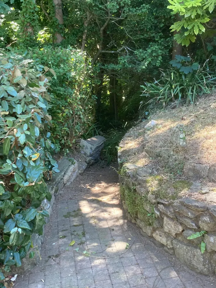 entretien jardin (2)