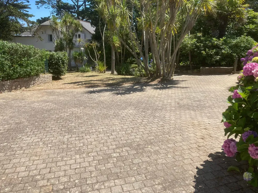 entretien jardin (6)