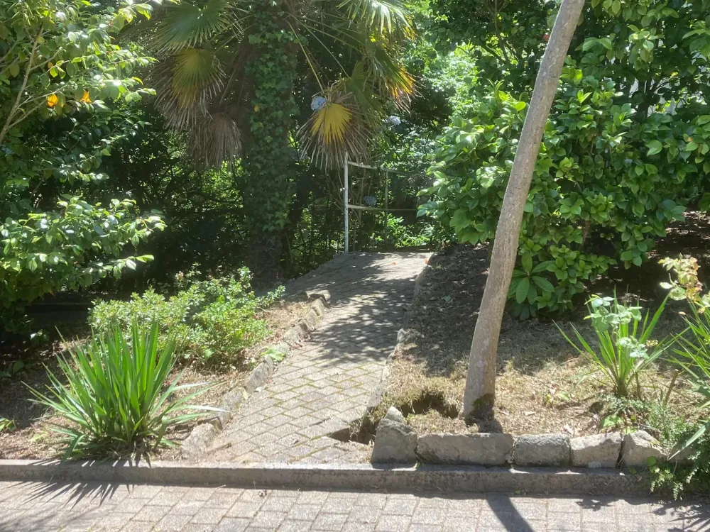 entretien jardin (13)